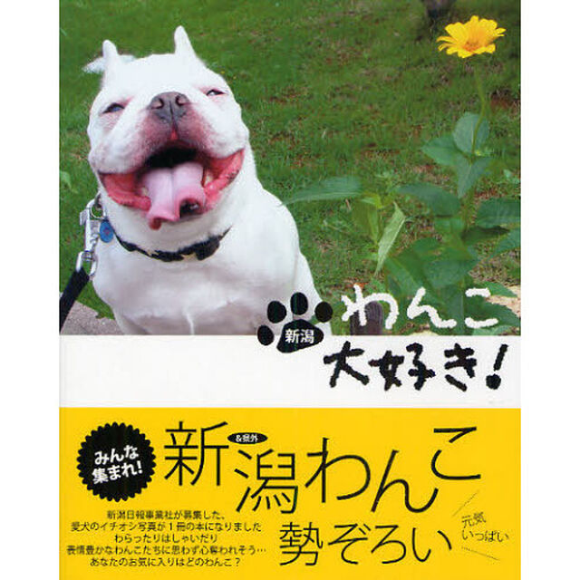 新潟わんこ大好き！