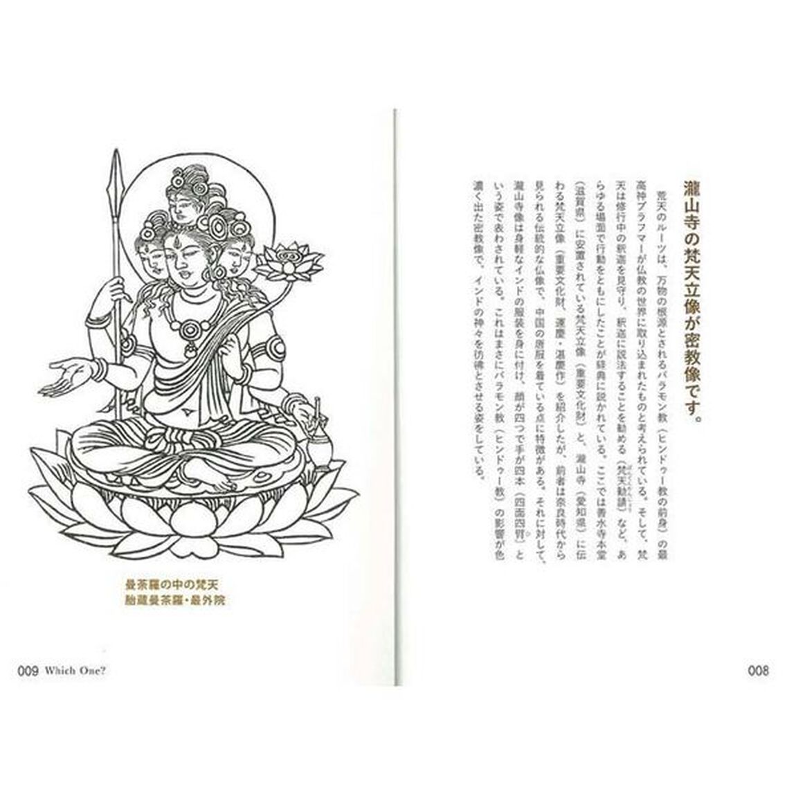 密教像のすべて　大日如来を中心とした曼荼羅の仏たち