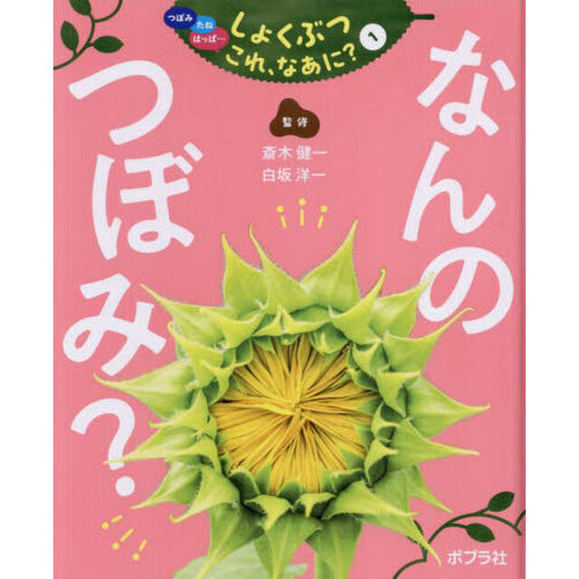 つぼみ　たね　はっぱ&hellip;しょくぶつこれ、なあに？　１「なんのつぼみ？」