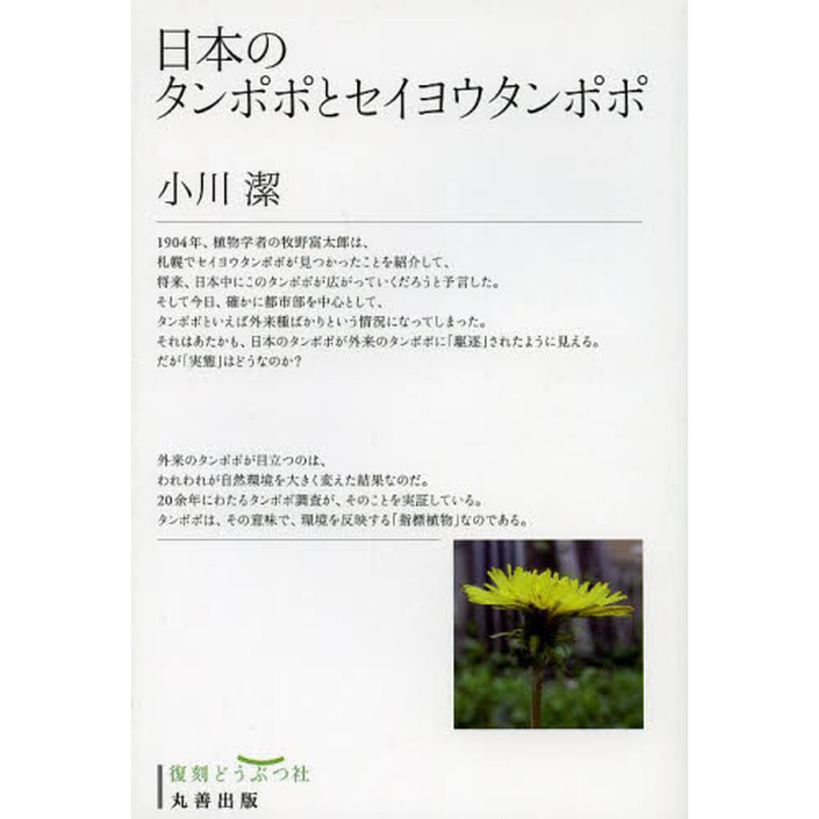日本のタンポポとセイヨウタンポポ　復刻
