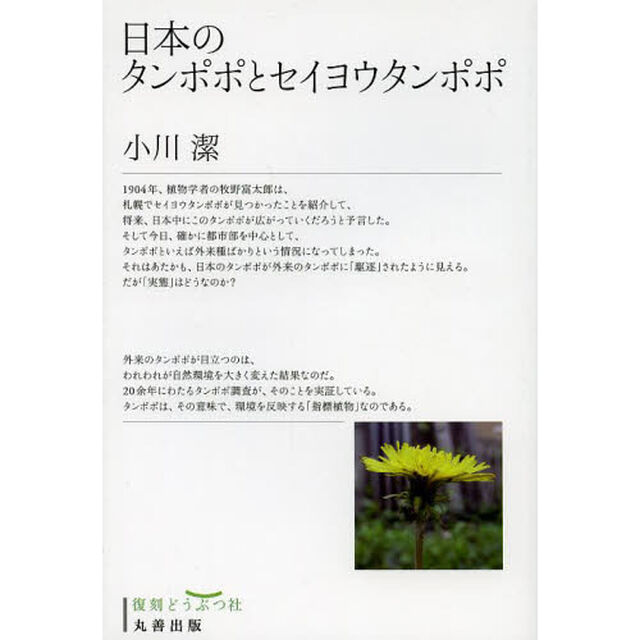 日本のタンポポとセイヨウタンポポ　復刻
