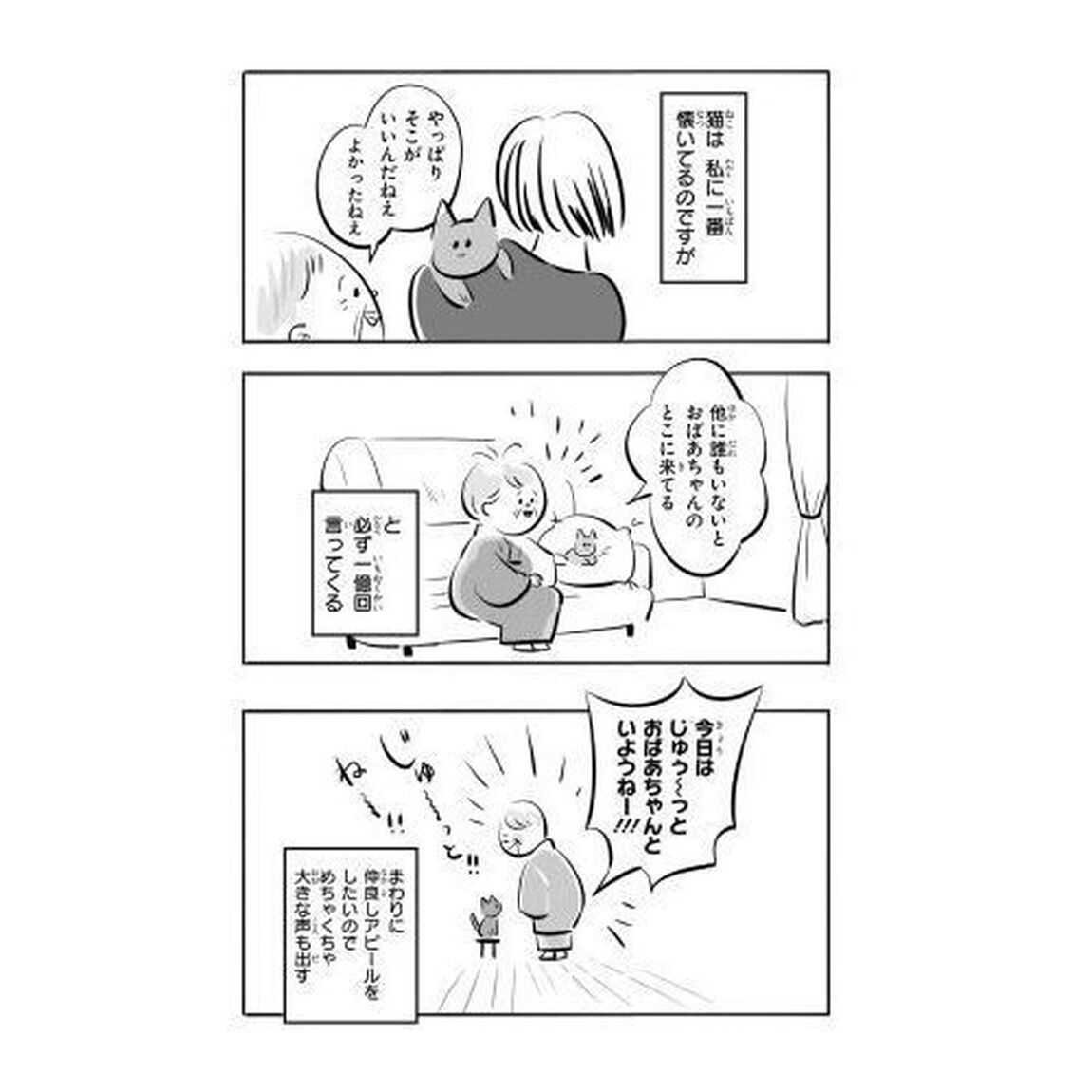 祖母と猫
