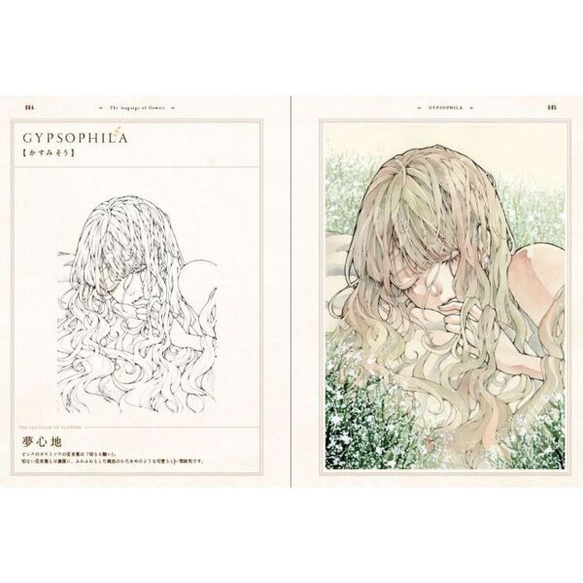 ＤＯＬＬＳ　とあるお茶画集