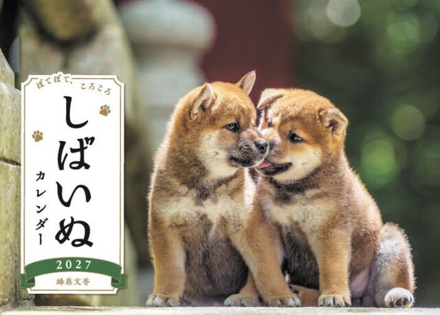 &rsquo;２７　しばいぬカレンダー