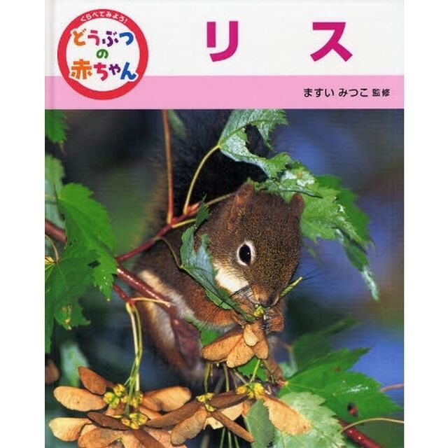 くらべてみよう！どうぶつの赤ちゃん　６「リス」
