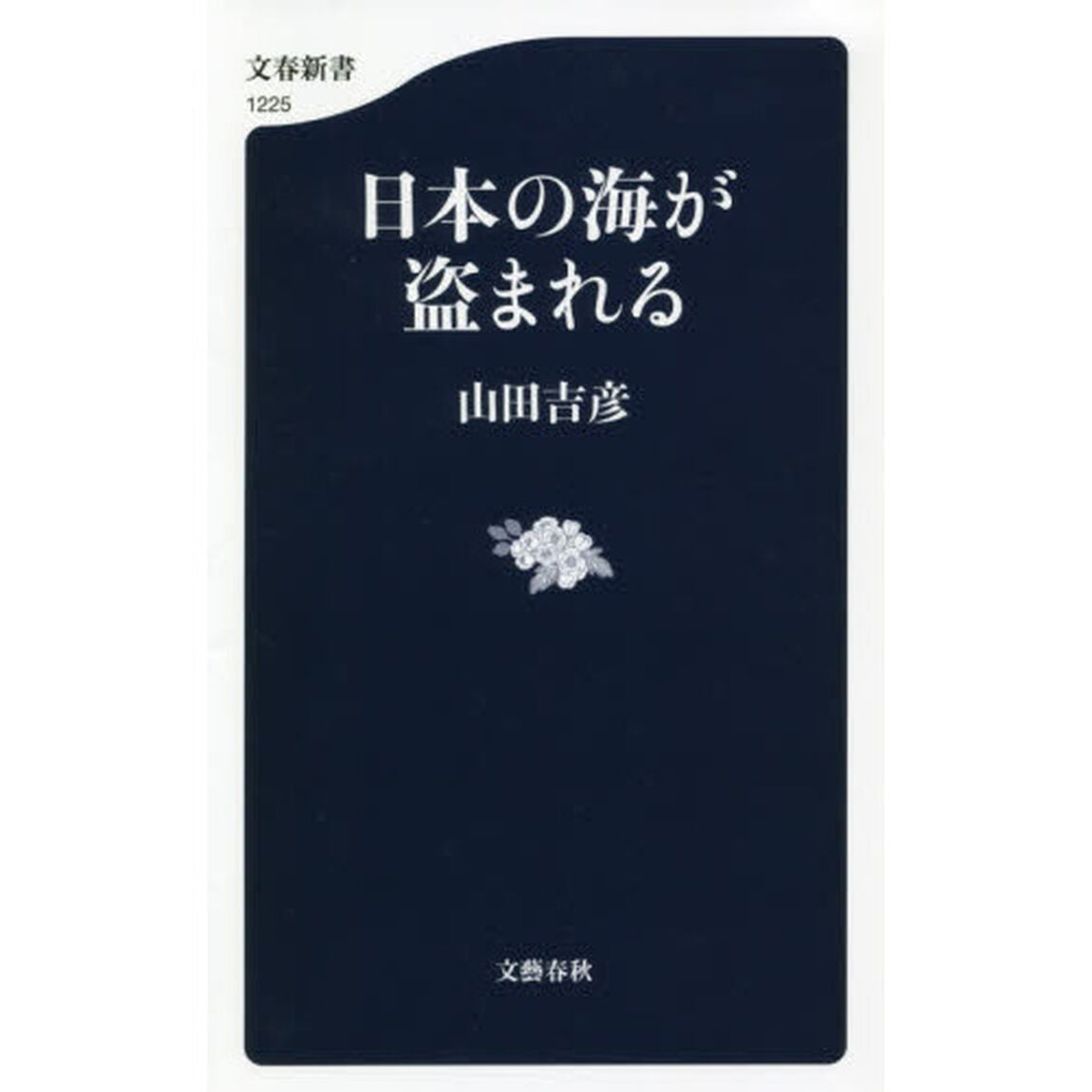 日本の海が盗まれる
