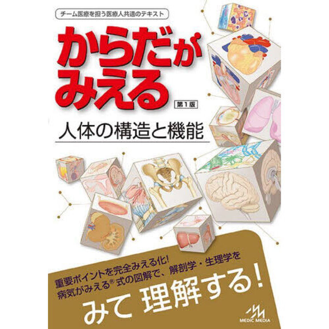 からだがみえる　人体の構造と機能
