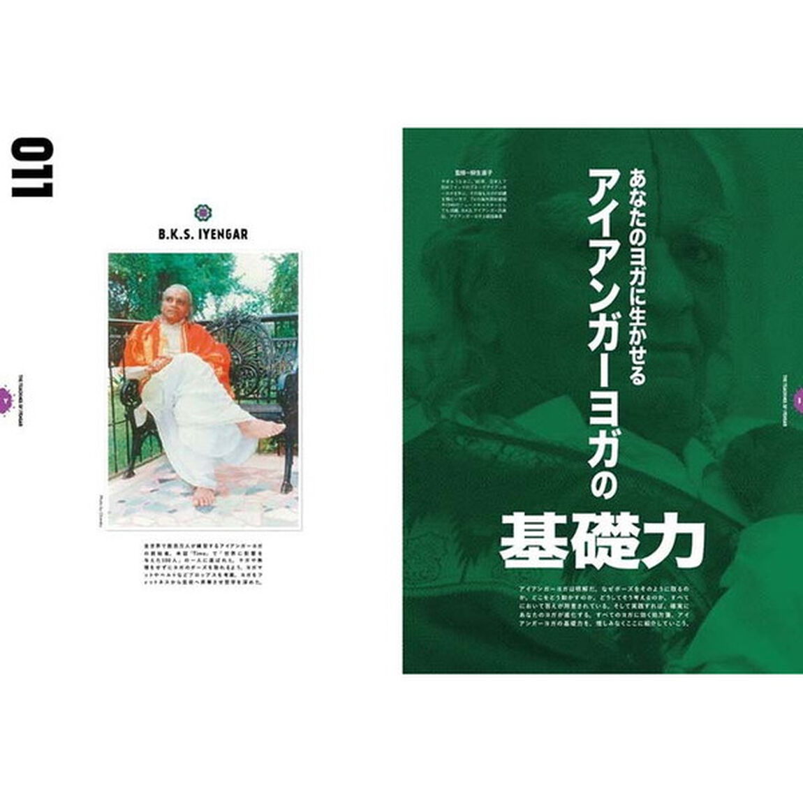 Ｙｏｇｉｎｉ　ヨガでシンプル・ビューティ・ライフ　ｖｏｌ．６５「特集あなたのヨガに生かせるアイアンガーヨガの基礎力」