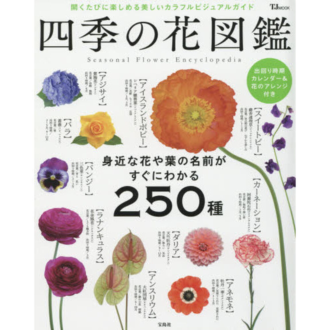 四季の花図鑑　身近な花や葉の名前がすぐにわかる２５０種　開くたびに楽しめる美しいカラフルビジュアルガイド