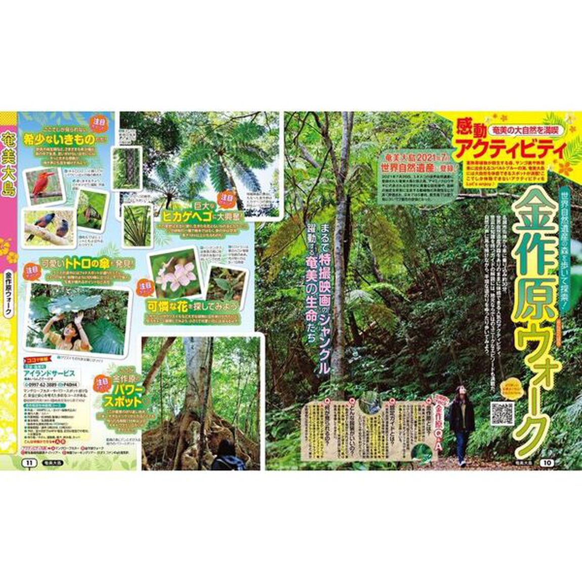 るるぶ奄美屋久島種子島　&rsquo;２５