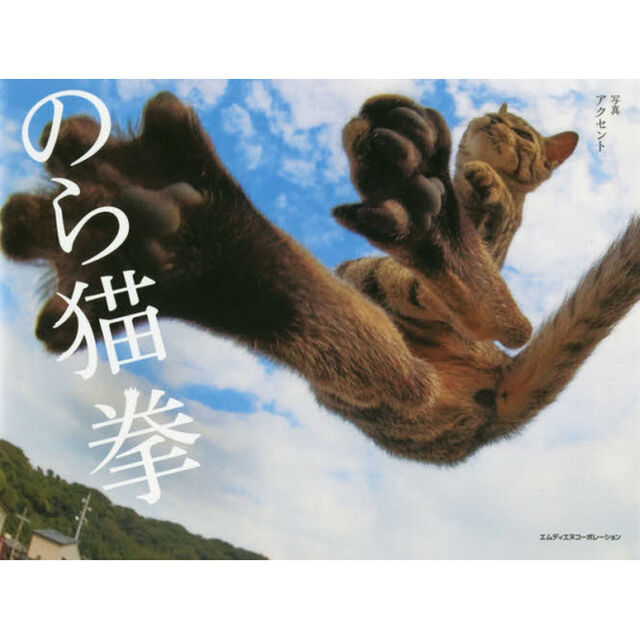 のら猫拳