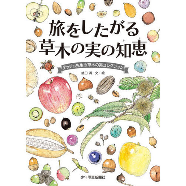 旅をしたがる草木の実の知恵　ゲッチョ先生の草木の実コレクション