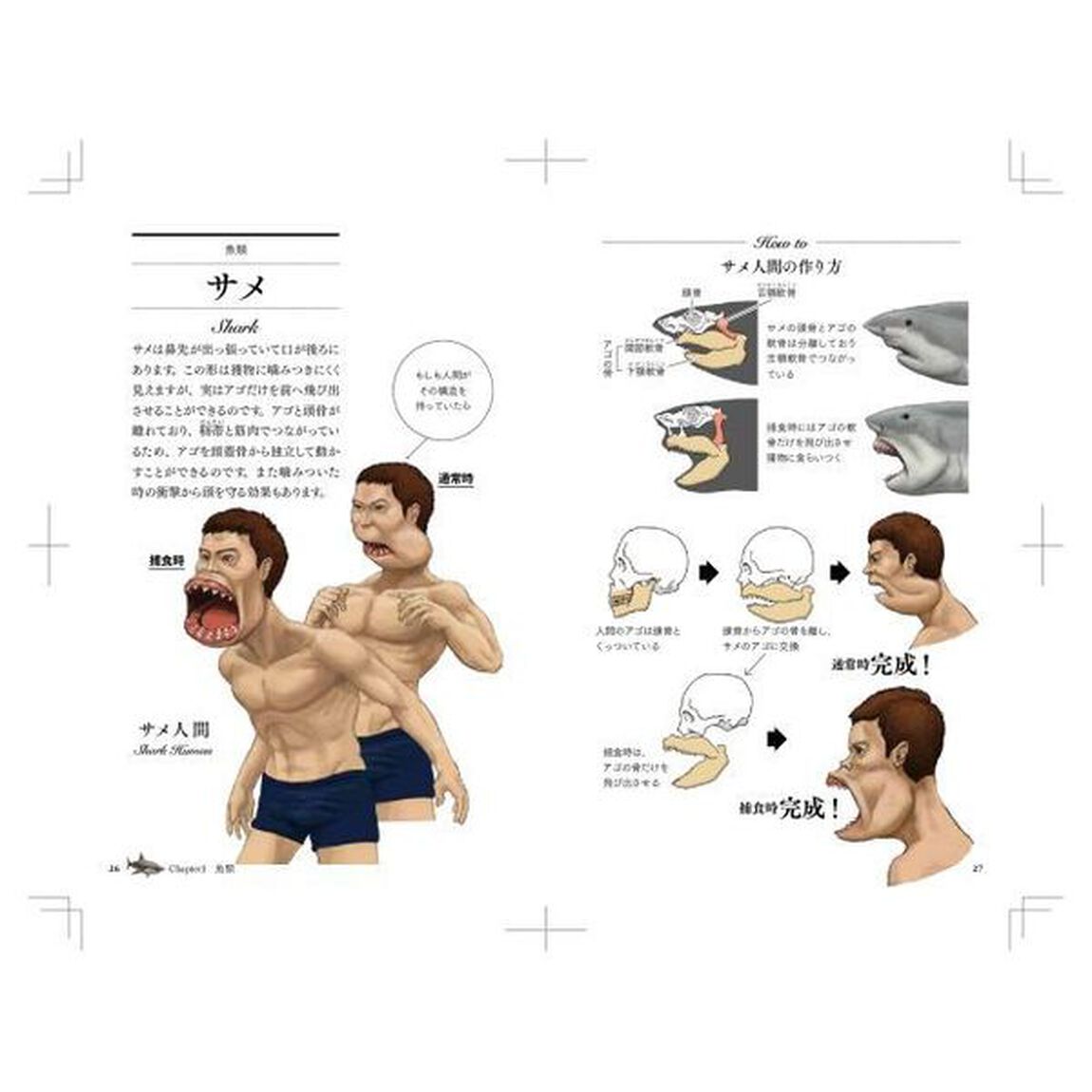 サメのアゴは飛び出し式　進化順に見る人体で表す動物図鑑