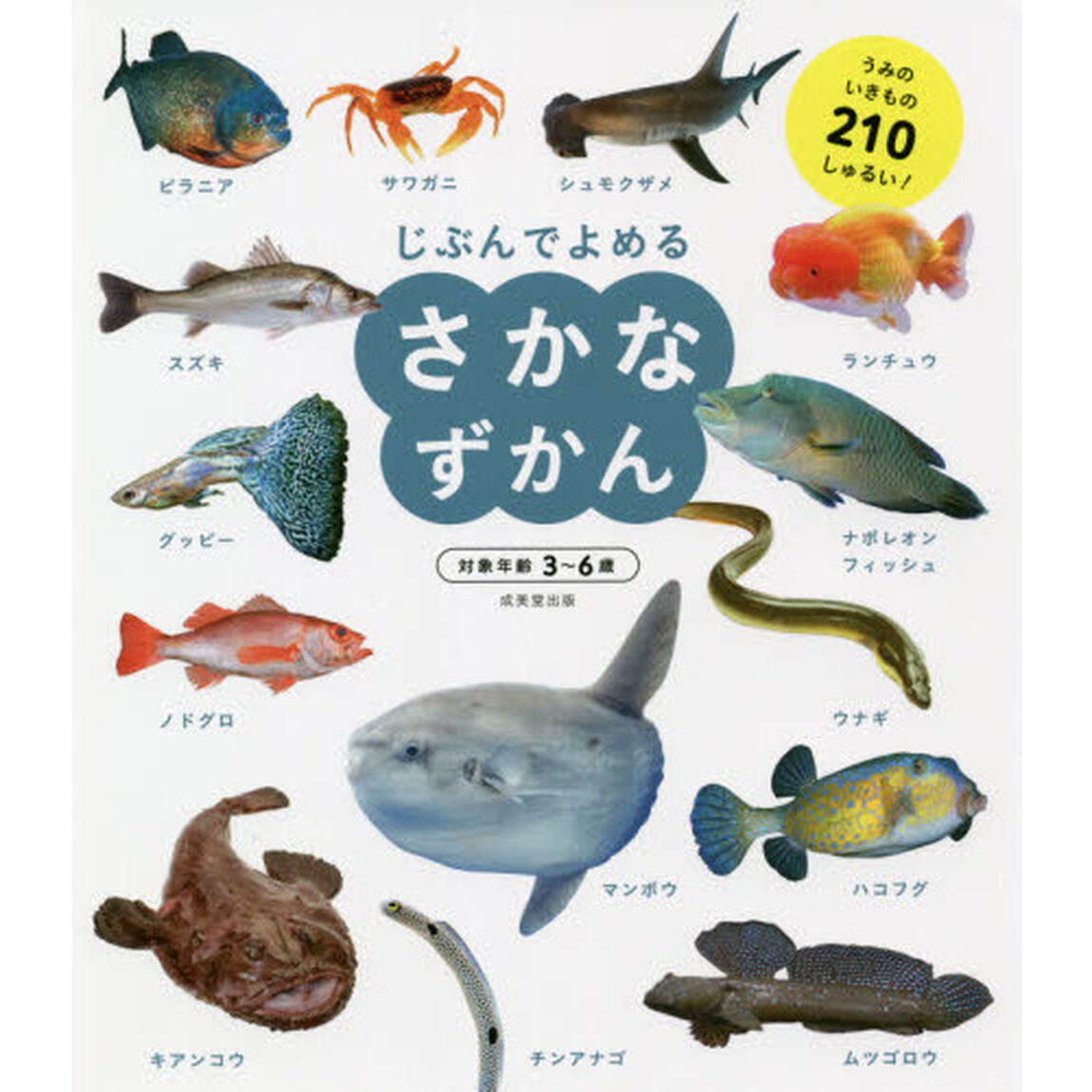 じぶんでよめるさかなずかん　対象年齢３〜６歳　うみのいきもの２１０しゅるい！