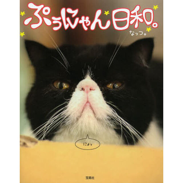 ぷぅにゃん日和。