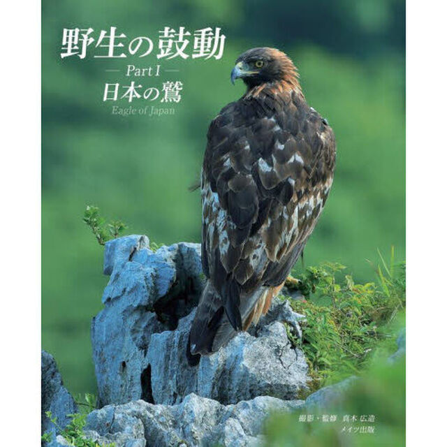野生の鼓動　Ｐａｒｔ１「日本の鷲」
