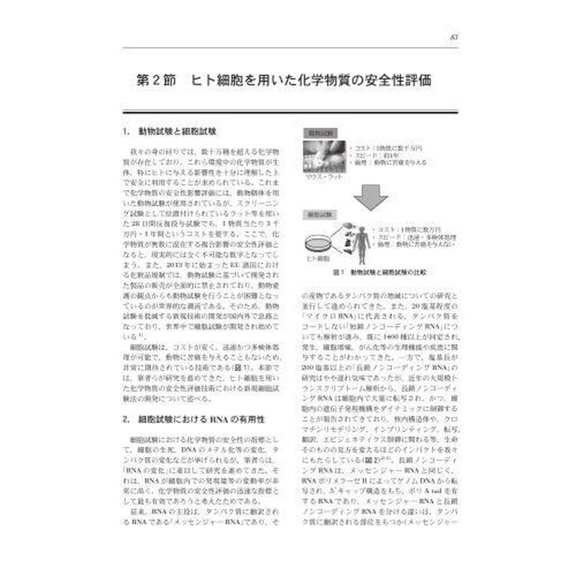 化学物質の複合影響と健康リスク評価