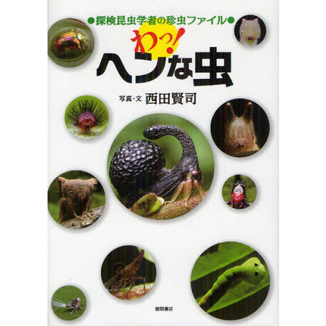 探検昆虫学者の珍虫ファイル　わッ！　へんな虫