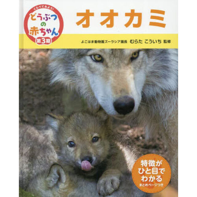 くらべてみよう！どうぶつの赤ちゃん　２２「オオカミ」