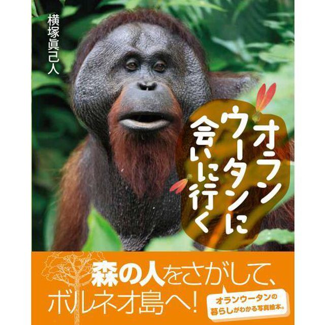 オランウータンに会いに行く