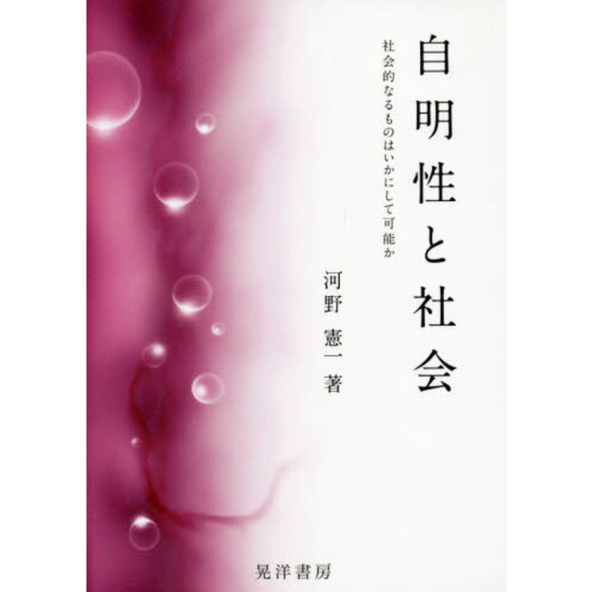 自明性と社会　社会的なるものはいかにして可能か