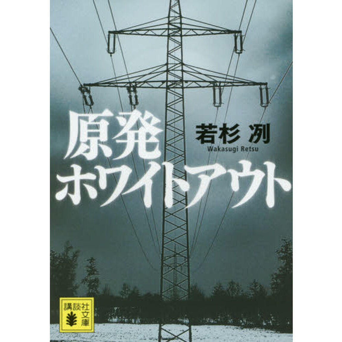 原発ホワイトアウト