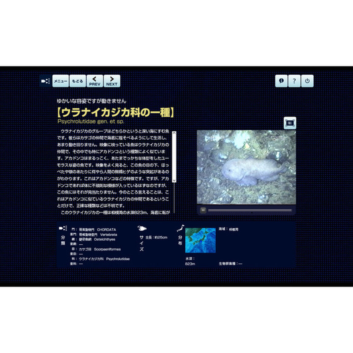 動く！深海生物図鑑　ＤＶＤ－ＲＯＭ＆図解　深海数千メートルにうごめく生命の驚異