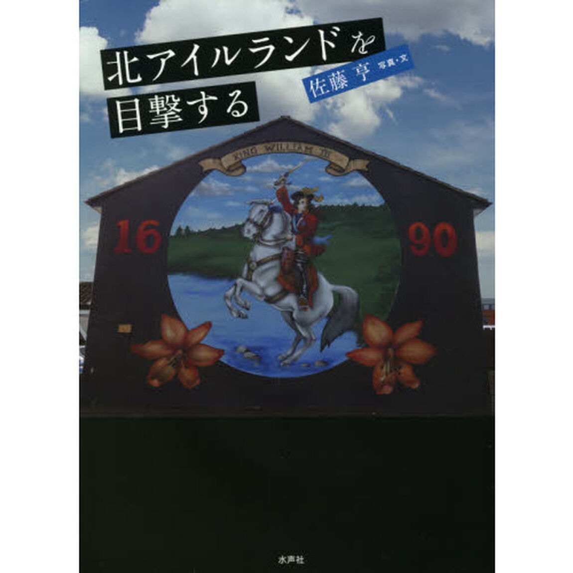 北アイルランドを目撃する