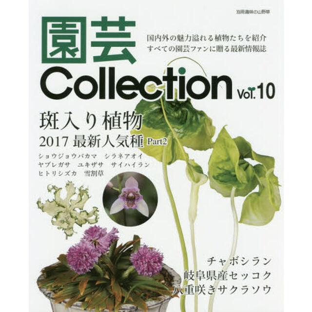 園芸Ｃｏｌｌｅｃｔｉｏｎ　Ｖｏｌ．１０「斑入り植物最新人気種　２　チャボシラン　八重咲きサクラソウ」