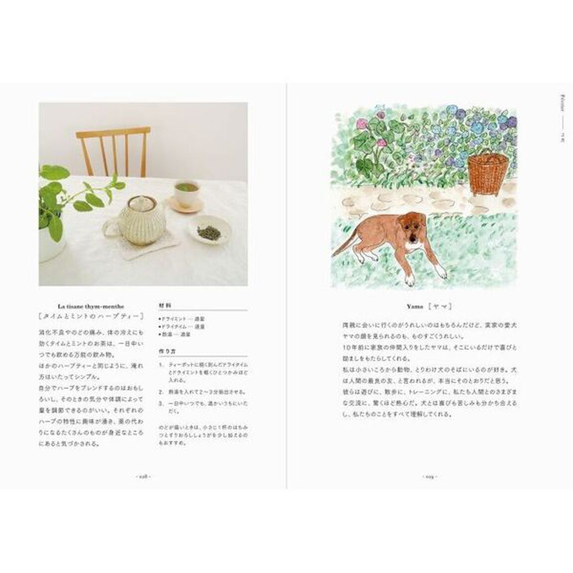 フランス田舎暮らし１２カ月