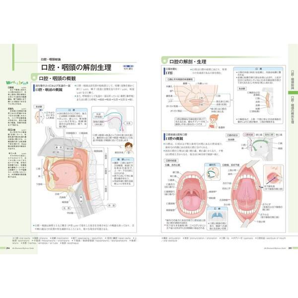病気がみえるvol.13 耳鼻咽喉科 - 通販｜セブンネットショッピング