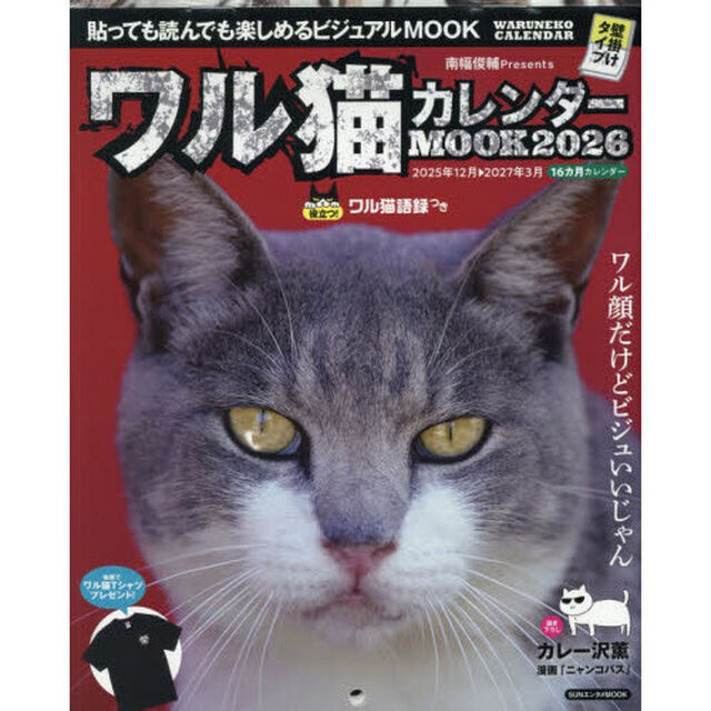 ワル猫カレンダーMOOK 貼っても読んでも楽しめるビジュアルMOOK 2026