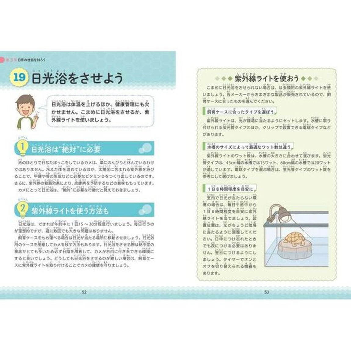 小学生でも安心！はじめてのカメ正しい飼い方・育て方