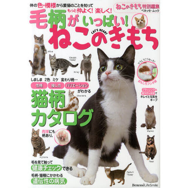 毛柄がいっぱい！ねこのきもち　体の色・模様から愛猫のことを知ってもっと仲よく！楽しく！
