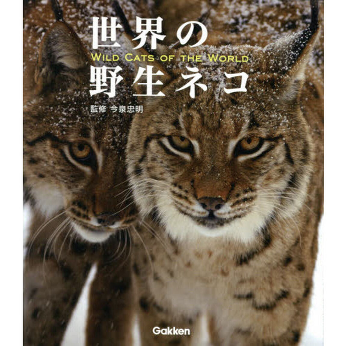 世界の野生ネコ