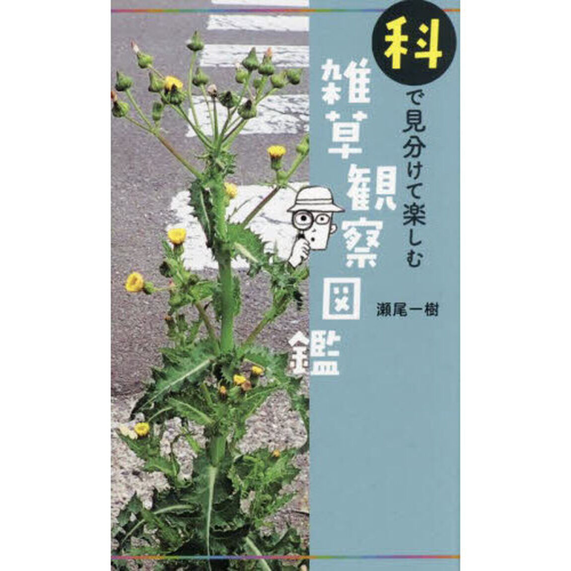 科で見分けて楽しむ雑草観察図鑑