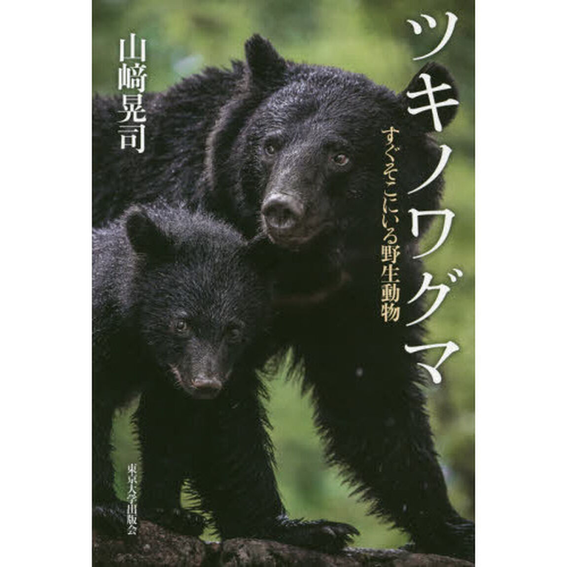 ツキノワグマ　すぐそこにいる野生動物