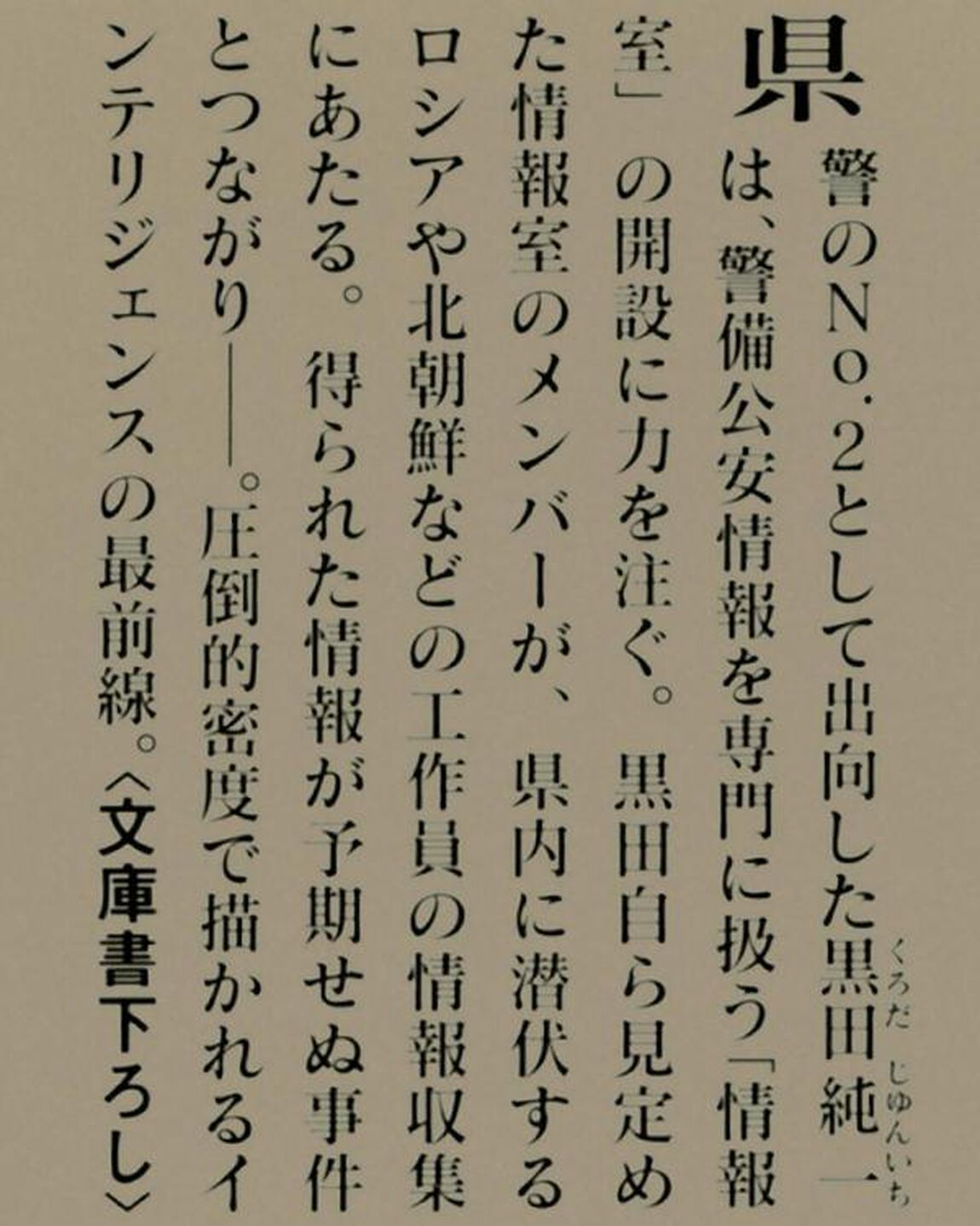 警視庁情報官アンダーインスペクター