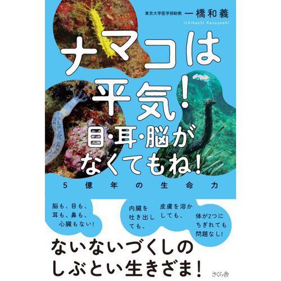 ナマコは平気！目・耳・脳がなくてもね！　５億年の生命力