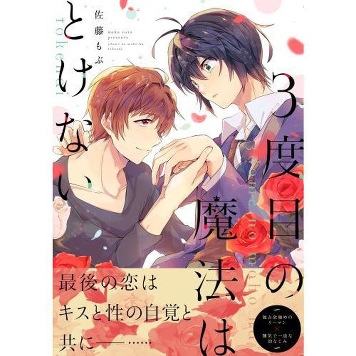 ３度目の魔法はとけない