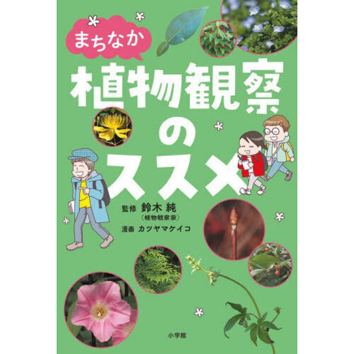まちなか植物観察のススメ