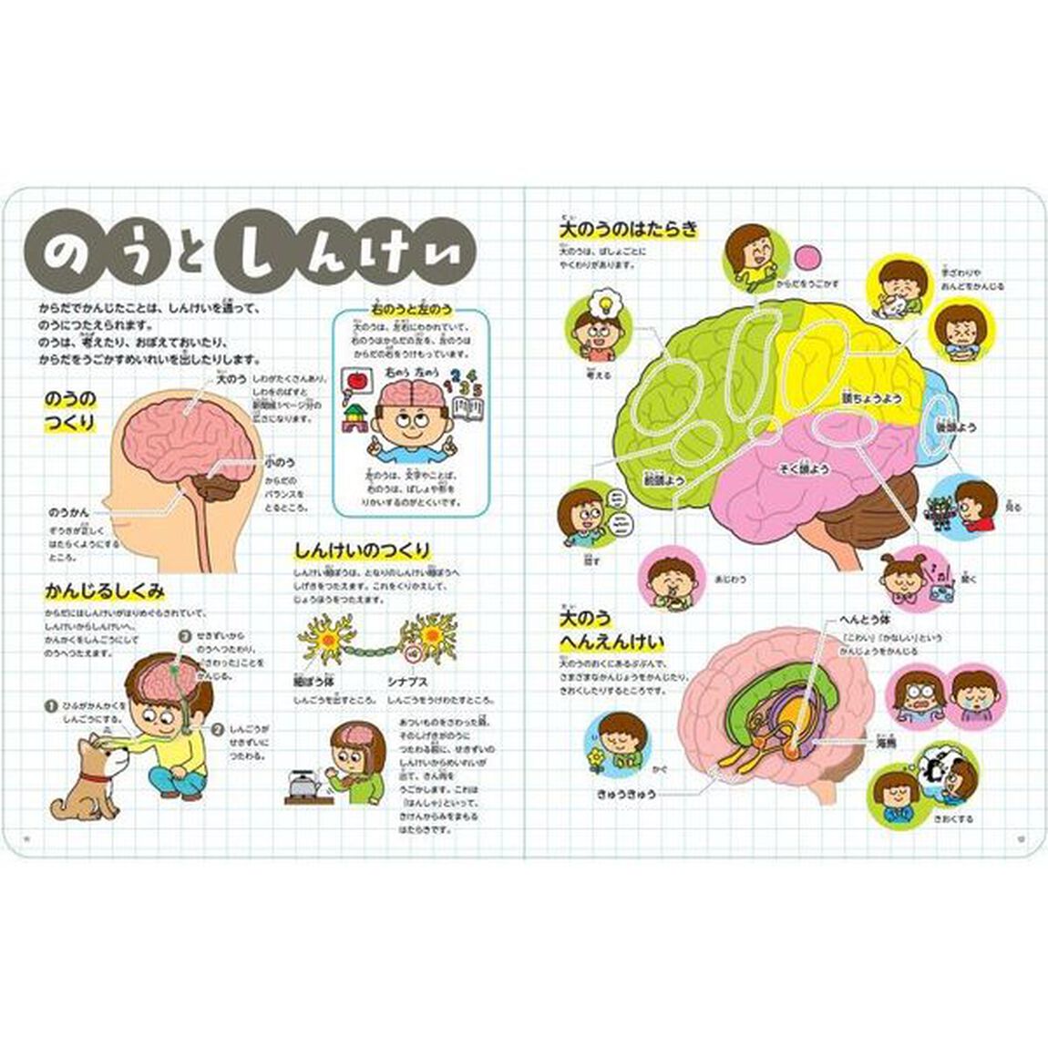 ちょうしんきでわかる！からだえほん