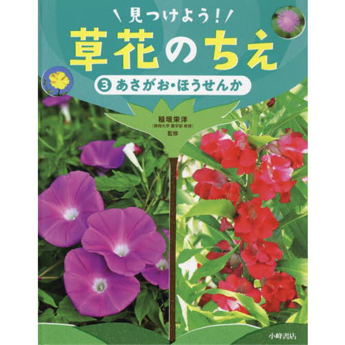 見つけよう！草花のちえ　３「あさがお・ほうせんか」