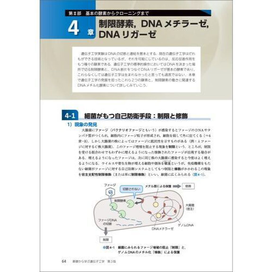 基礎から学ぶ遺伝子工学「第３版」