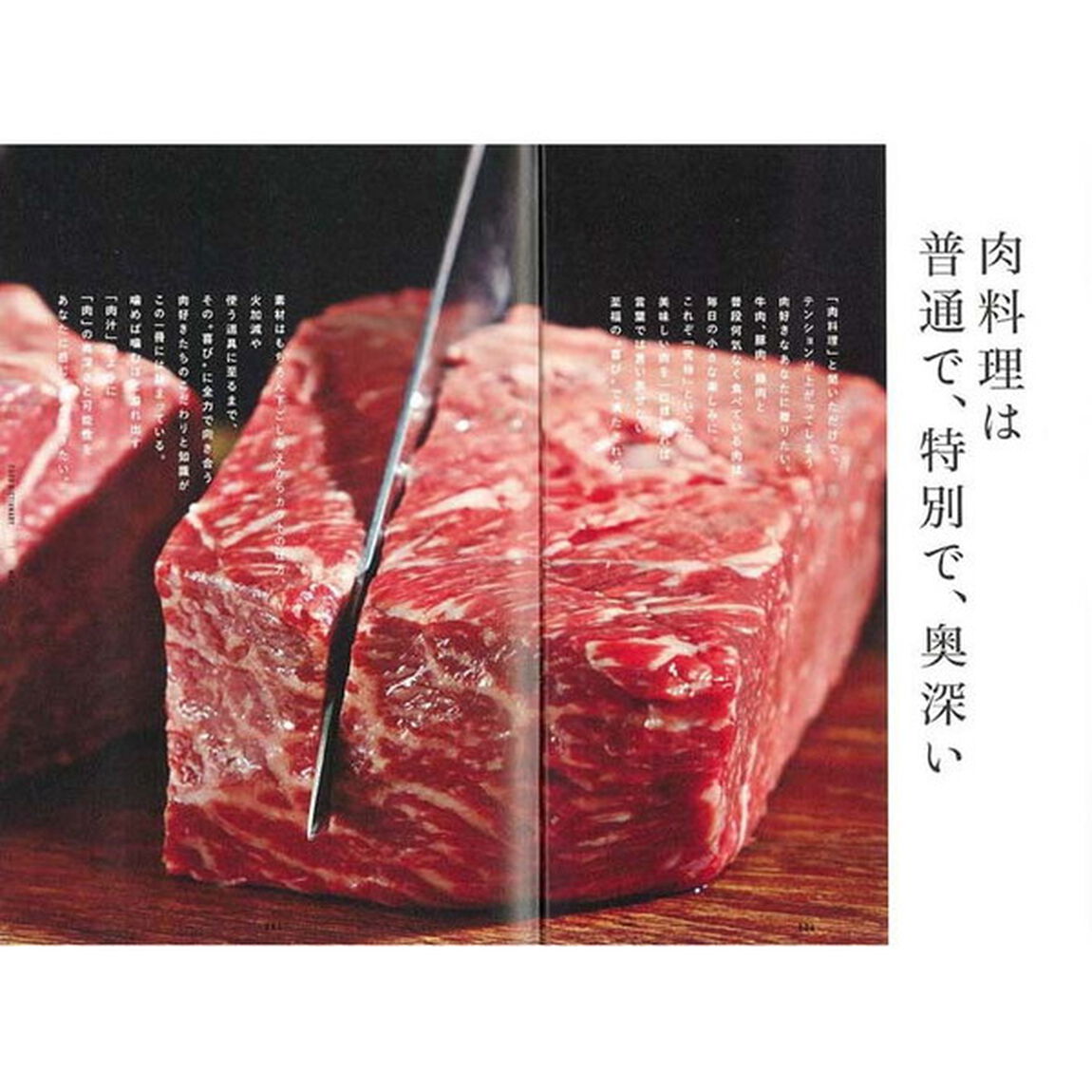 FOOD DICTIONARY 肉
