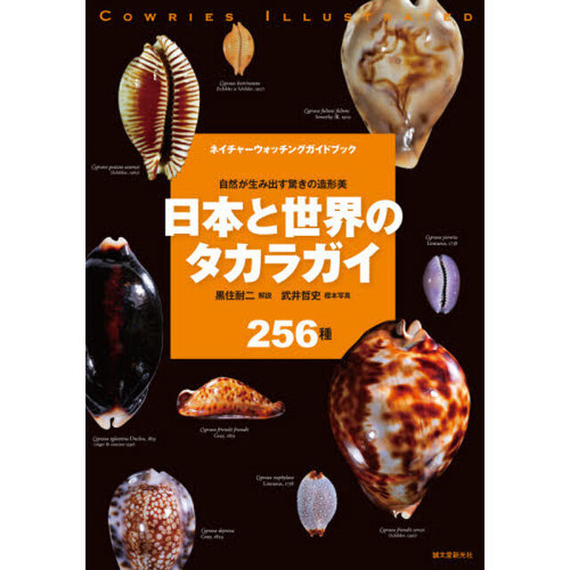 日本と世界のタカラガイ　自然が生み出す驚きの造形美　２５６種