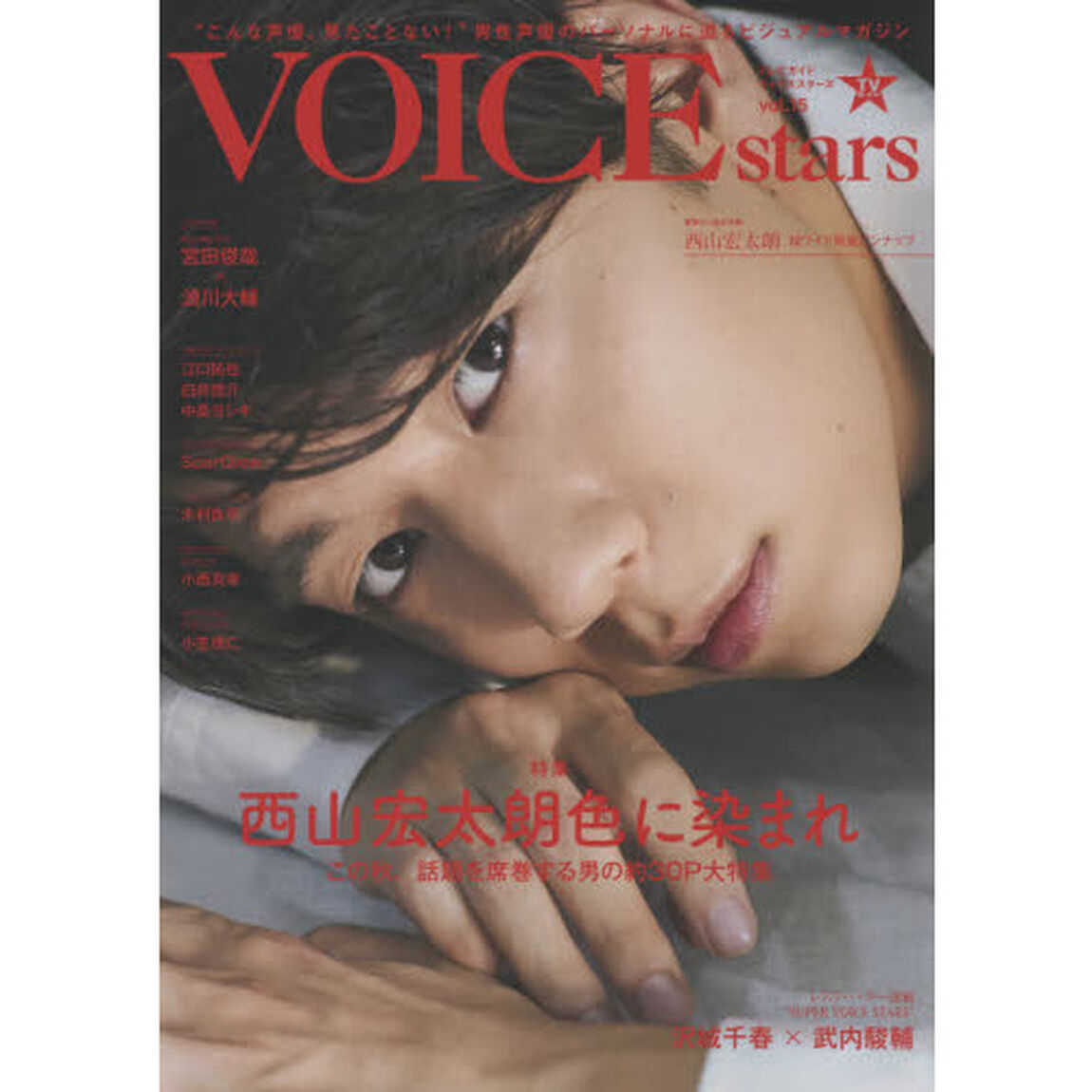 ＴＶガイドＶＯＩＣＥ　ｓｔａｒｓ　ｖｏｌ．１５「特集西山宏太朗色に染まれ」