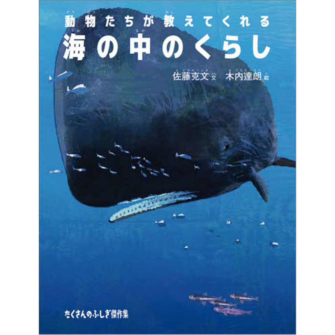 動物たちが教えてくれる海の中のくらし
