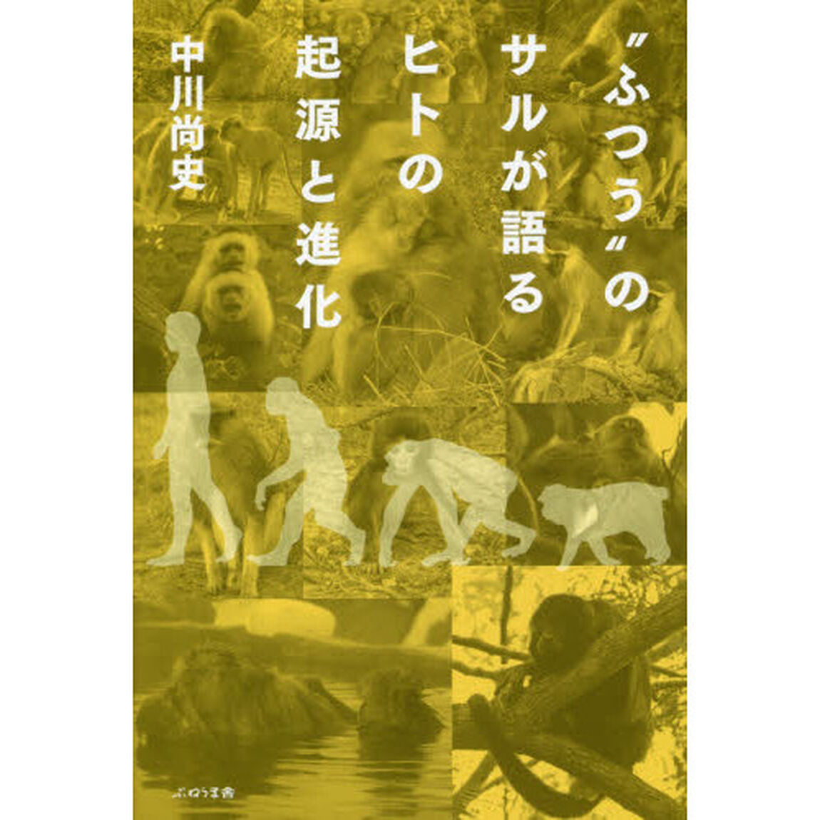 &ldquo;ふつう&rdquo;のサルが語るヒトの起源と進化