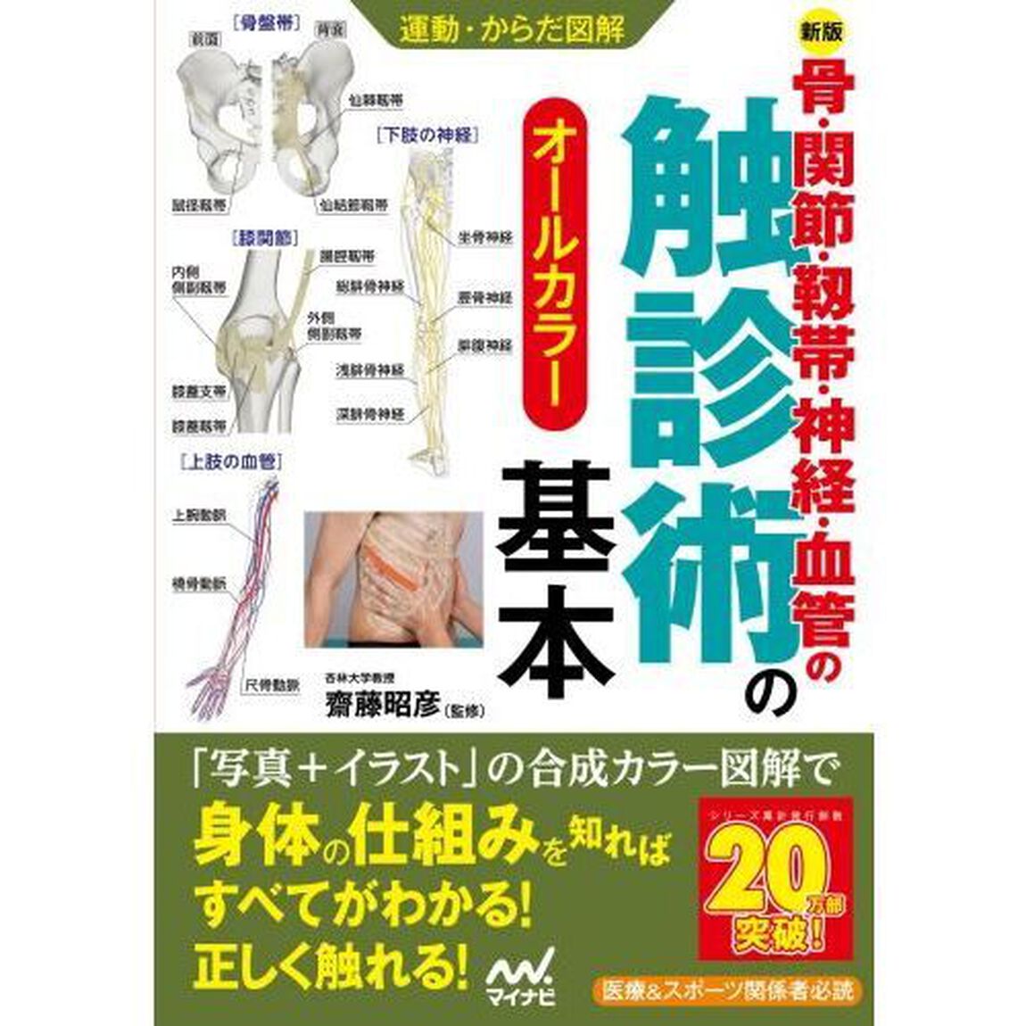 骨・関節・靱帯・神経・血管の触診術の基本　オールカラー「新版」